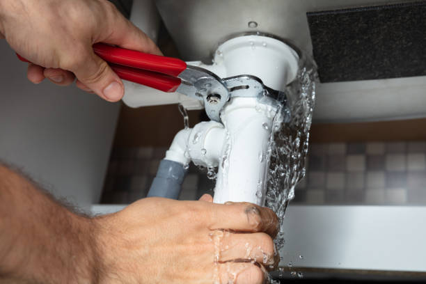 Best Fire Damage Restoration  in Desloge, MO