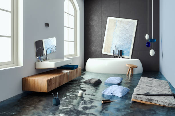  Desloge, MO Water damage restoration Pros