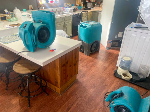 Best Water damage restoration near me  in Desloge, MO