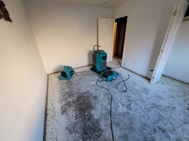 Best Flood restoration services  in Desloge, MO
