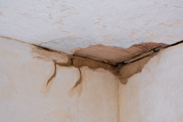 Best Ceiling water damage repair  in Desloge, MO