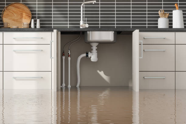 Best Water damage cleanup near me  in Desloge, MO