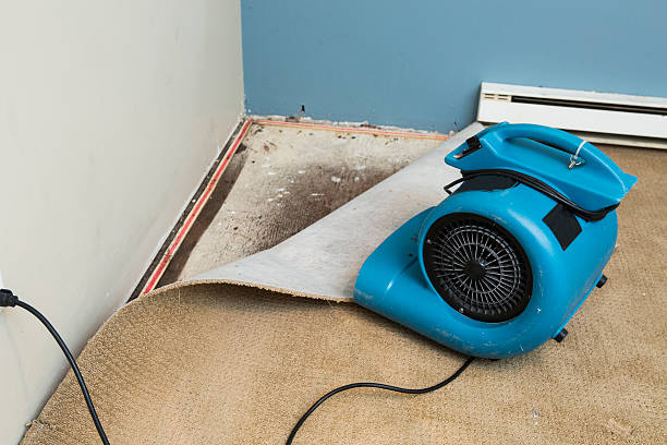 Water damage restoration mold remediation in MO